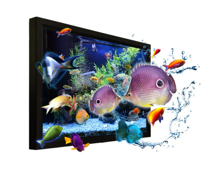Customized 55 Inch Nake Eye Real 3D lcd Digital Signage Display