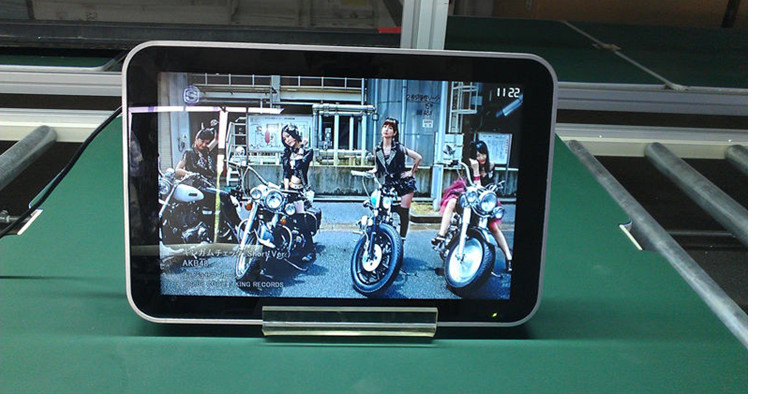 High Brightness English 22 Inch Wall Mount LCD Display VESA LED Backlit , 1080x1920
