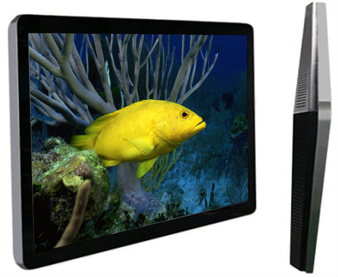 55 Inch JPG Wall Mount LCD Screen Display dustproof for Business