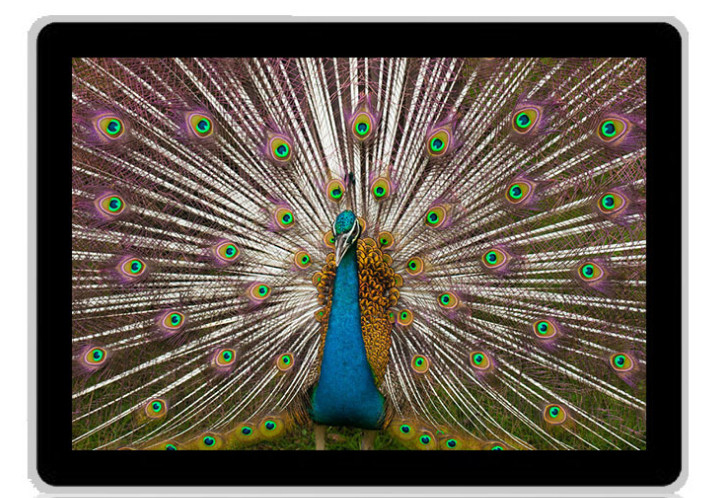 HD 55 Inch LCD Digital Signage Display USB / SD Card Interface