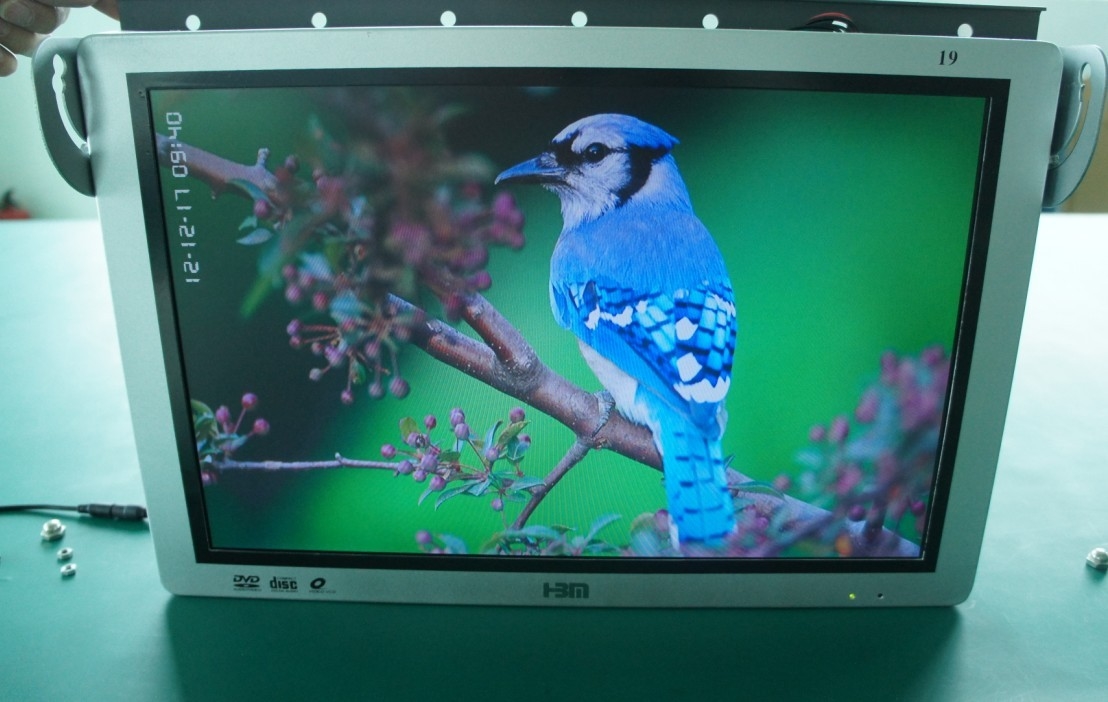 Indoor 32 Inch Transparent LCD Display With Background Music , XVID GIF PNG