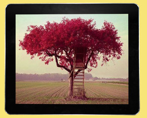 Shockproof 26" 12" 46" Wall Mount LCD Display Digital Signage Full HD 1080P , Ipad style